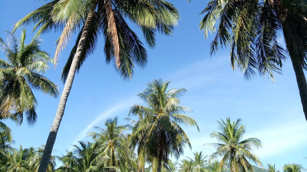 Good Dream Hotel Ko Tao Exterior foto